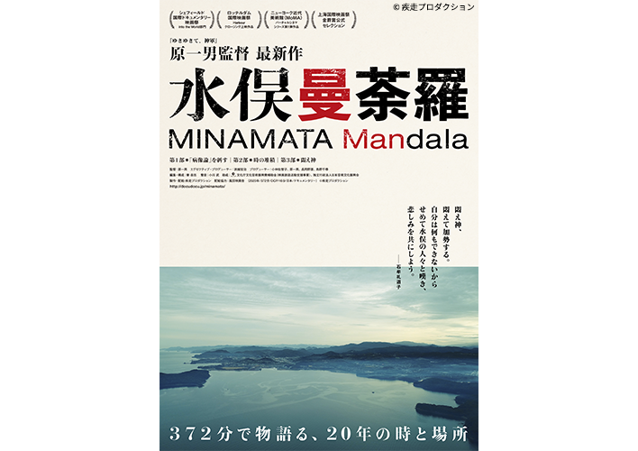 現在進行形の問題としての水俣病<br>国というシステムの実相を問う。