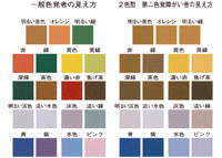 一般色覚者の見え方と第二色覚障がい者の見え方を示す図