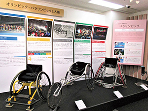 写真：リニューアルした展示