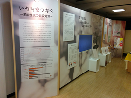 展示の様子:パネルによる説明