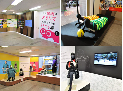 展示の画像