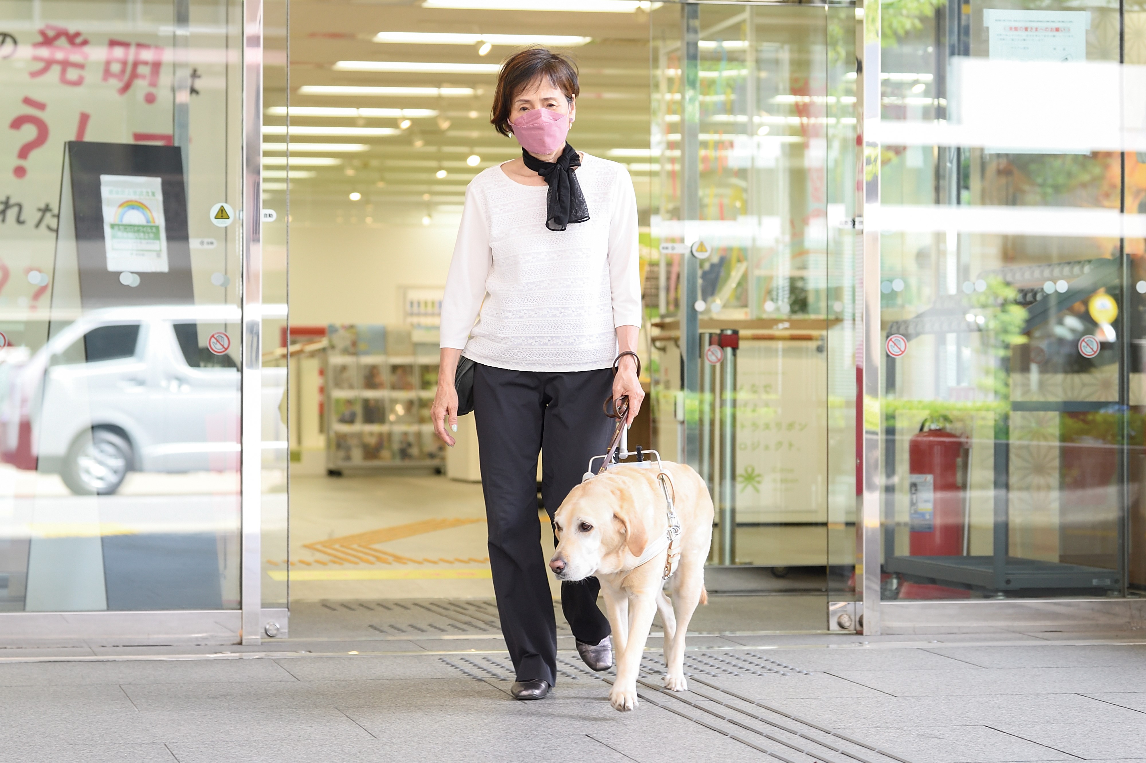 盲導犬べーちぇるが歩行中のせあさんの曲がり角や段差障害物をおしえてくれる写真