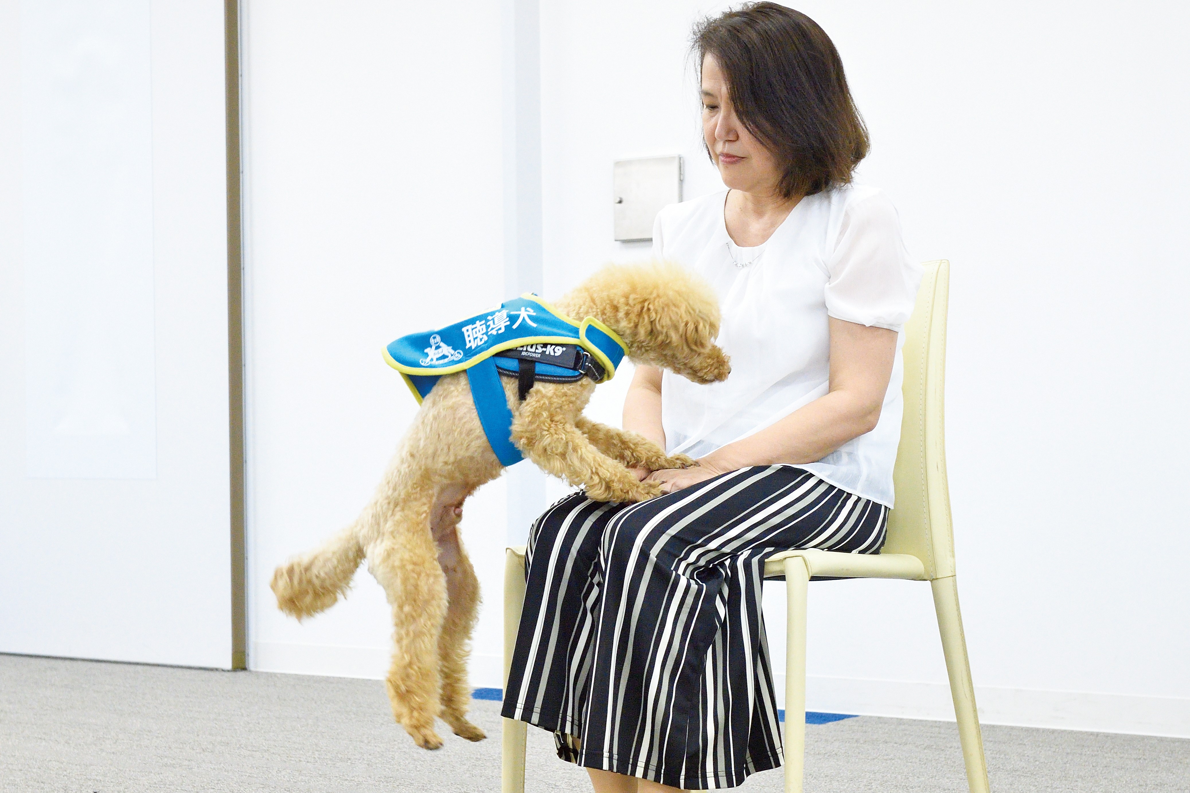 チャンプ君がタイマーをしらせるしゃしん