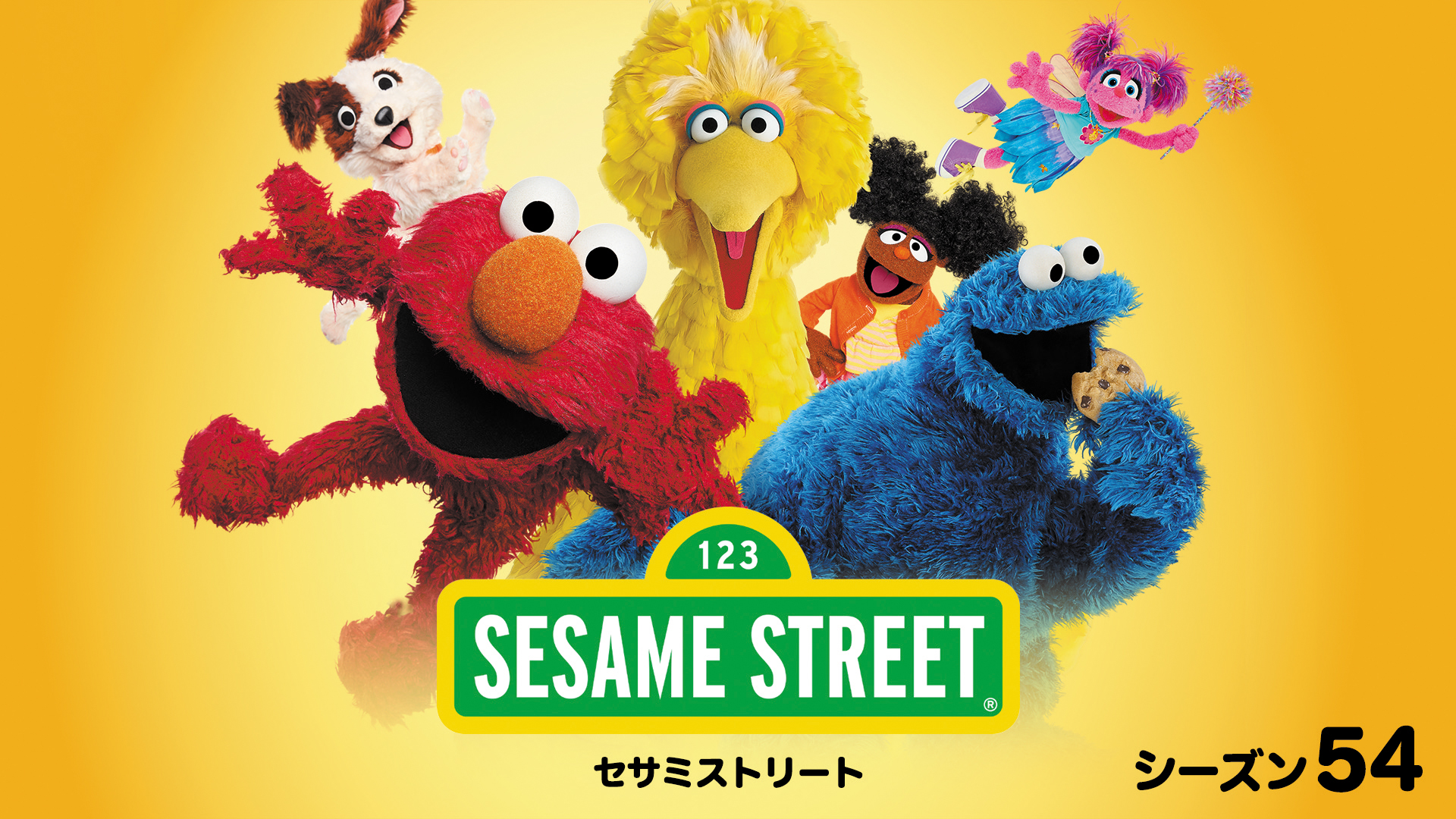 セサミストリート シーズン54の画像